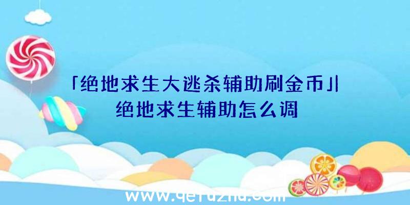 「绝地求生大逃杀辅助刷金币」|绝地求生辅助怎么调